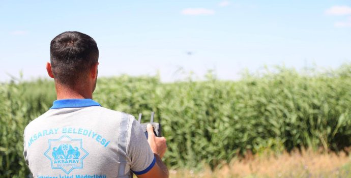 Aksaray Belediyesi’nden Biyolojik Mücadeleyle Haşerelere Erken Müdahale