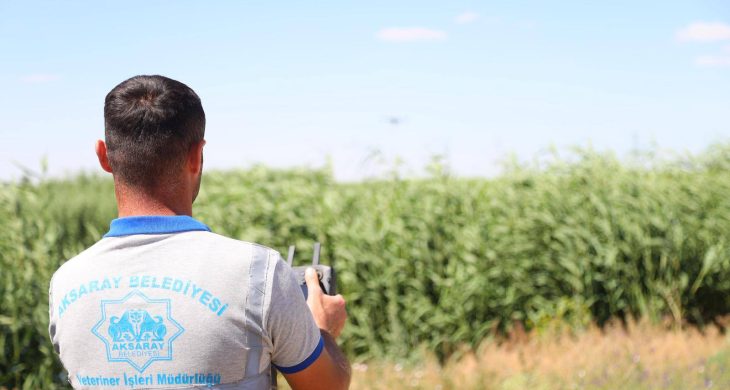 Aksaray Belediyesi’nden Biyolojik Mücadeleyle Haşerelere Erken Müdahale