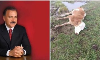 Kars Eski Belediye Başkanı Alibeyoğlu’ndan bağımsız hayvan hastalıkları araştırma enstitüsü çağrısı