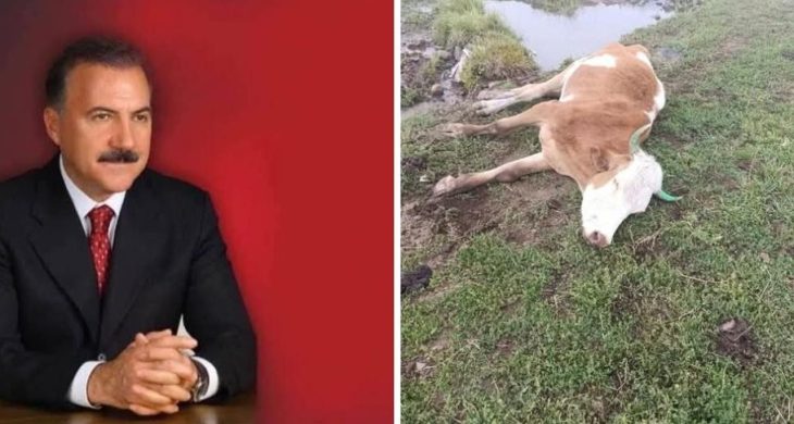 Kars Eski Belediye Başkanı Alibeyoğlu’ndan bağımsız hayvan hastalıkları araştırma enstitüsü çağrısı