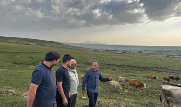 Hayvancılık yetkilileri Kars’ta incelemelerde bulundu