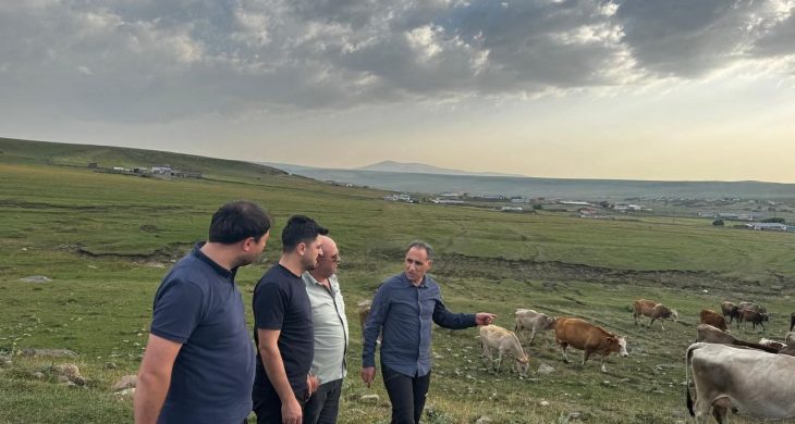 Hayvancılık yetkilileri Kars’ta incelemelerde bulundu
