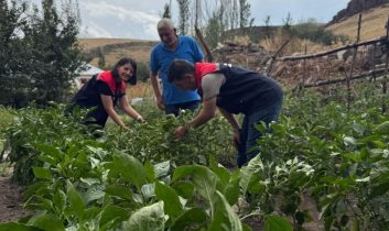 Kars’ta sebze fidesi dağıtımı projesi meyvelerini veriyor: Hasat tamamlandı