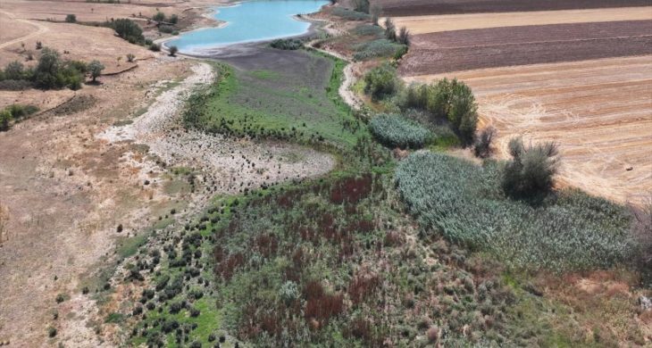 Edirne’de Yağcılı Göleti tamamen kurudu