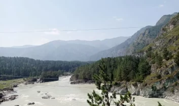 Eğitimci Hayat Aras: Altay’dan Anadolu’ya bitikler 4