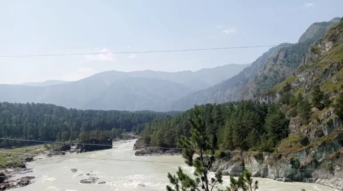 Eğitimci Hayat Aras: Altay’dan Anadolu’ya bitikler 4