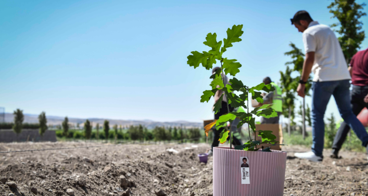 Miniklerin yetiştirdiği meşe palamutları Ata Çiftliği’nde doğayla buluştu