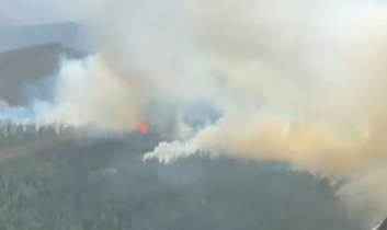 Çankırı’nın Yapraklı ilçesinde orman yangını: Müdahale sürüyor