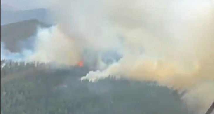 Çankırı’nın Yapraklı ilçesinde orman yangını: Müdahale sürüyor
