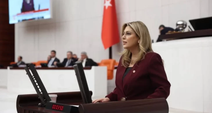 Elvan Işık Gezmiş: Güney Çevre Yolu Mutlaka Başlamalı
