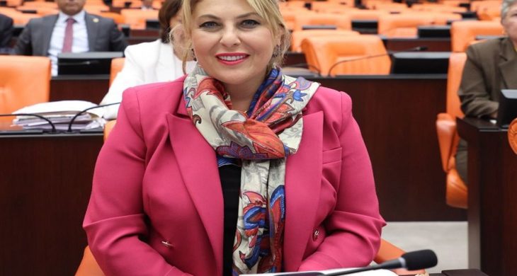 Elvan Işık Gezmiş; Emekli maaşı lütuf değil