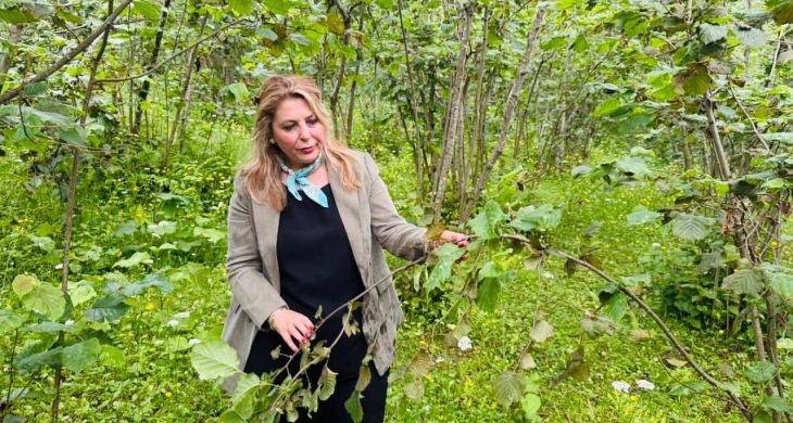 Elvan Işık Gezmiş; Fındık fiyatı tam bir fiyasko