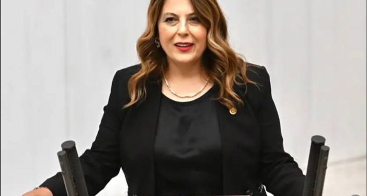 Elvan Işık Gezmiş: İlaca erişim sorunu çözülmeli