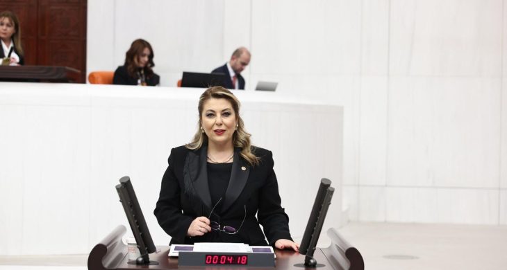 Elvan Işık Gezmiş Giresun’un ulaşım sorunlarını sordu