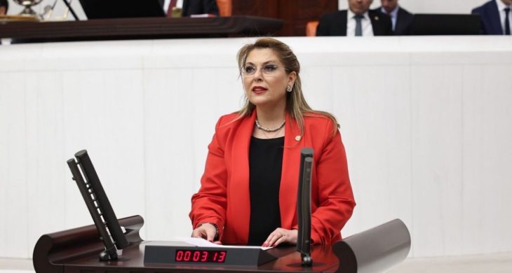 Elvan Işık Gezmiş İstiklal Madalyası için kanun teklifi verdi