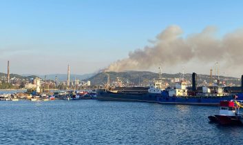 Karadeniz Ereğli’de orman yangını