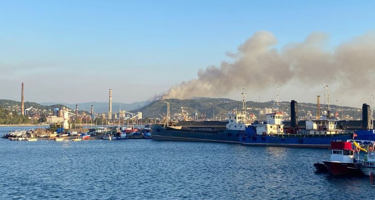 Karadeniz Ereğli’de orman yangını