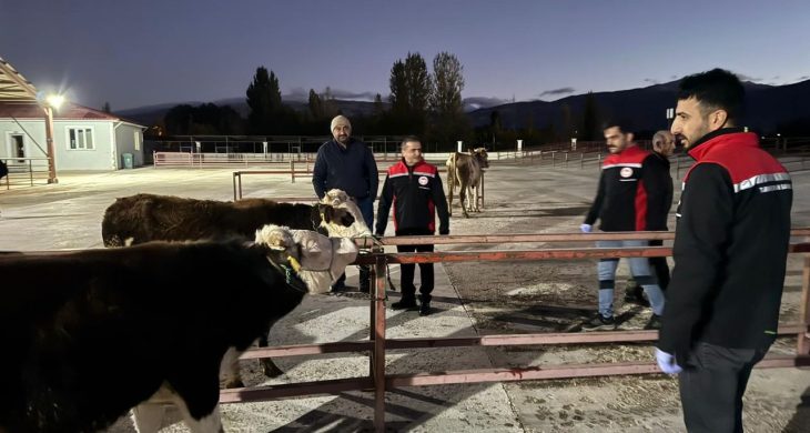 Erzincan Canlı Hayvan pazarı açıldı