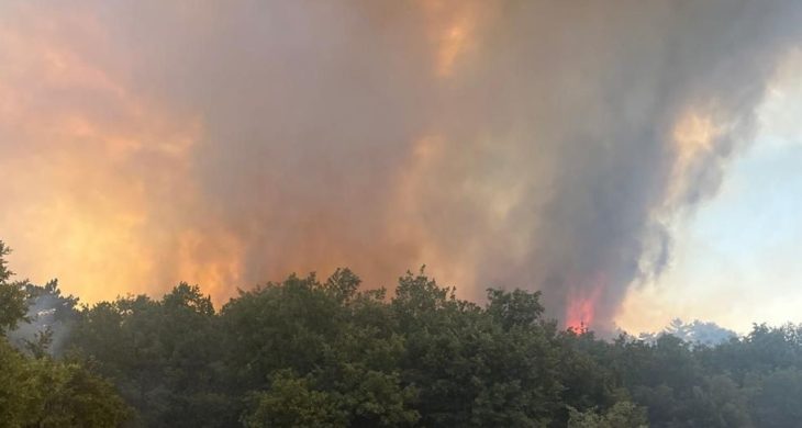 Eskişehir’in Seyitgazi ilçesinde orman yangınına müdahale sürüyor