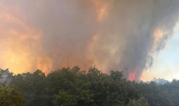 Edirne Keşan’da orman yangını