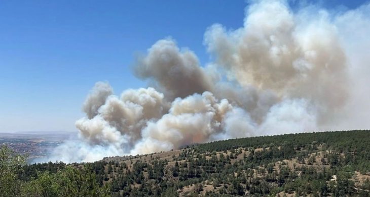 Ankara Eymir Gölü çevresinde orman yangını çıktı