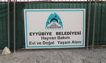 Eyyübiye, sokak hayvanları sorununu çözdü