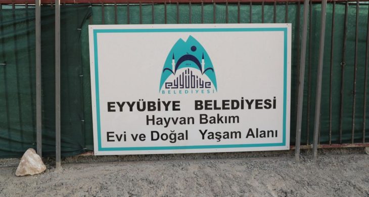 Eyyübiye, sokak hayvanları sorununu çözdü