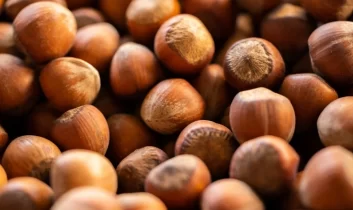 Fındık ihracatında 6 aylık gelir 1,17 milyar doları aştı