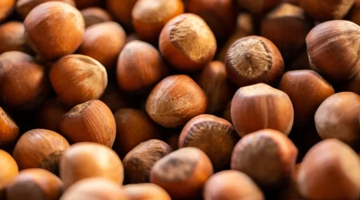 Fındık ihracatında 6 aylık gelir 1,17 milyar doları aştı