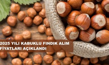 Fındık Taban Fiyatı Açıklandı; Fiyat 195 Lira…