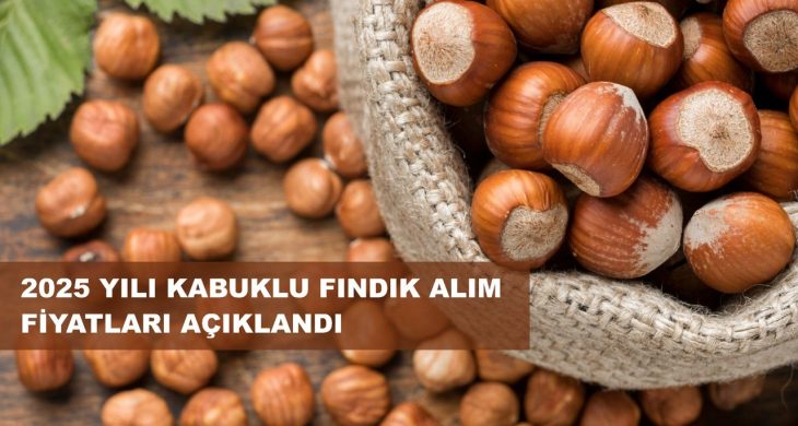 Fındık Taban Fiyatı Açıklandı; Fiyat 195 Lira…