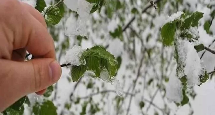 Fındık üreticisine zirai don uyarısı