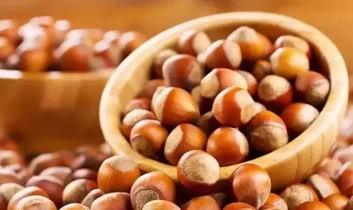 Fındık fiyatları yeni yıl İle yükselmeye başladı