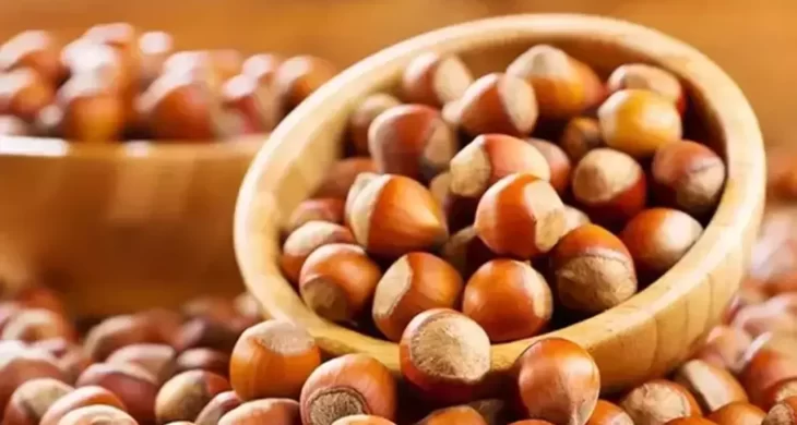 Fındık fiyatları yeni yıl İle yükselmeye başladı