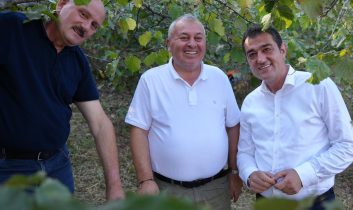 Giresun Belediye BAşkanı Fuat Köse ve Milletvekili Cemal Enginyurt fındık bahçesinde