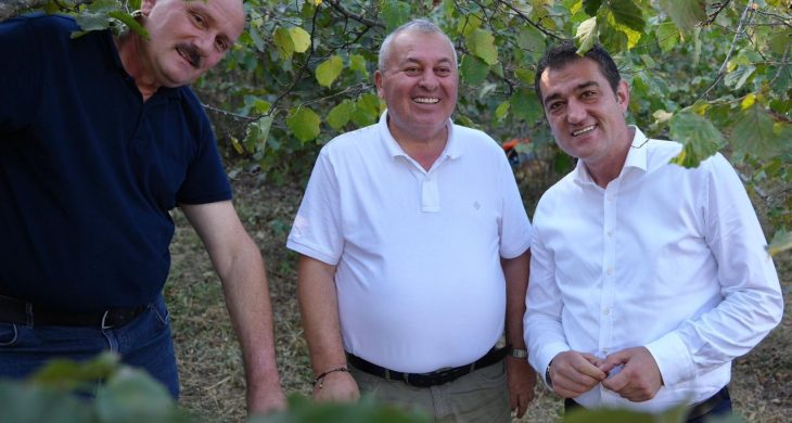 Giresun Belediye BAşkanı Fuat Köse ve Milletvekili Cemal Enginyurt fındık bahçesinde