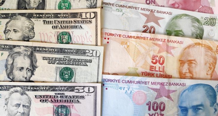 Firmaların net döviz açığında temmuzda düşüş