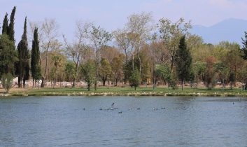 Fuar alanının ‘kalbi’ yeniden canlandı