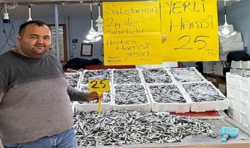 Fatsa’da hamsi fiyatı 20 TL’ye düşebilir
