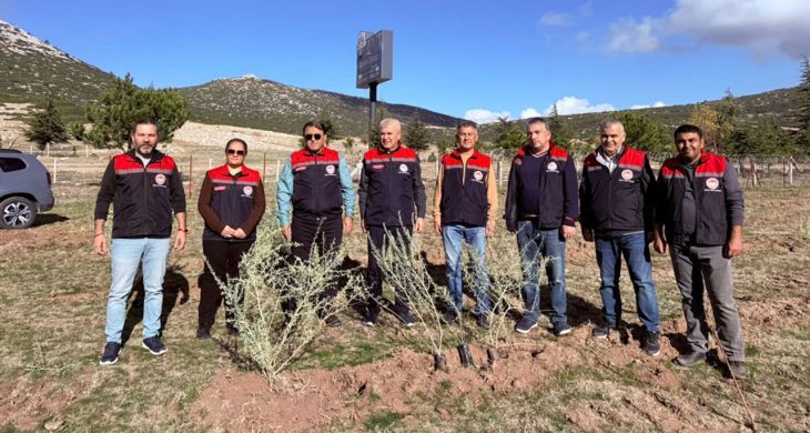 Isparta’da meralar güçleniyor: 33 bin tuz çalısı toprakla buluştu