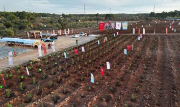11 Kasım “Milli Ağaçlandırma Günü” için hazırlıklar tamamlandı