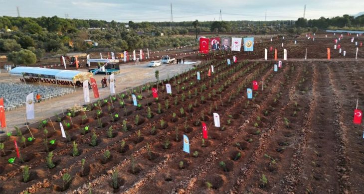 11 Kasım “Milli Ağaçlandırma Günü” için hazırlıklar tamamlandı