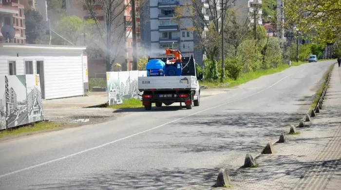 Giresun Belediyesi kahverengi kokarca ilaçlamasına başladı