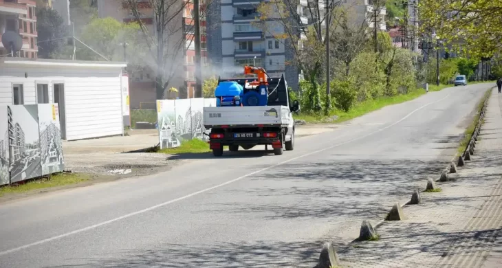 Giresun Belediyesi kahverengi kokarca ilaçlamasına başladı