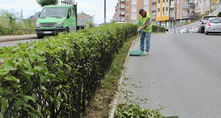 Giresun Belediyesi yeşili koruyor
