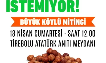 Giresun’da “Maden” Alarmı: Fındığımıza ve Doğamıza Dokunma!