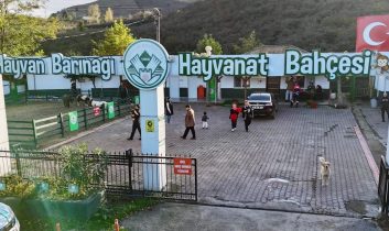 Giresun Belediyesi hayvan barınağı örnek çalışmaları