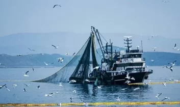 Giresunlu balıkçılara av yasağı uyarısı