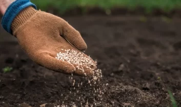 Gübre krizi iddialarına DMM’den yalanlama