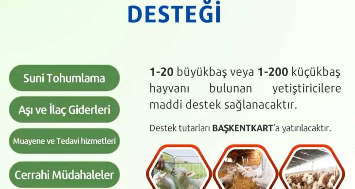 Güdül Belediye Başkanı Doğanay: Hayvancılık yapanlara Veterinerlik hizmeti vereceğiz